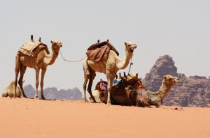 7-giorni-in-giordania-il-nostro-itinerario-meraviglie-del-mondo