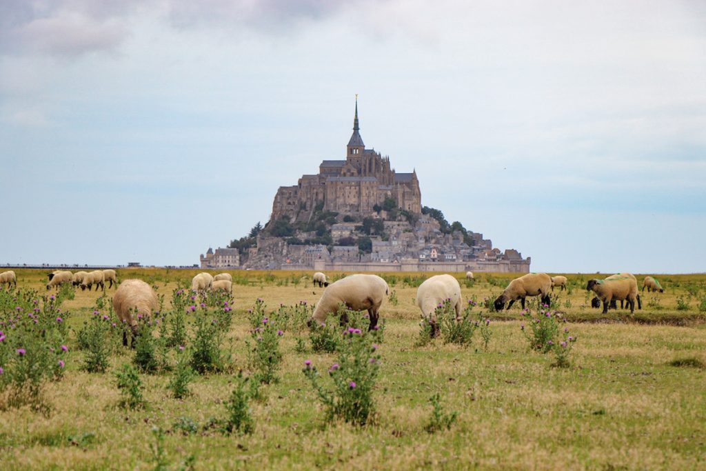 i meandri di mont saint michel in normandia