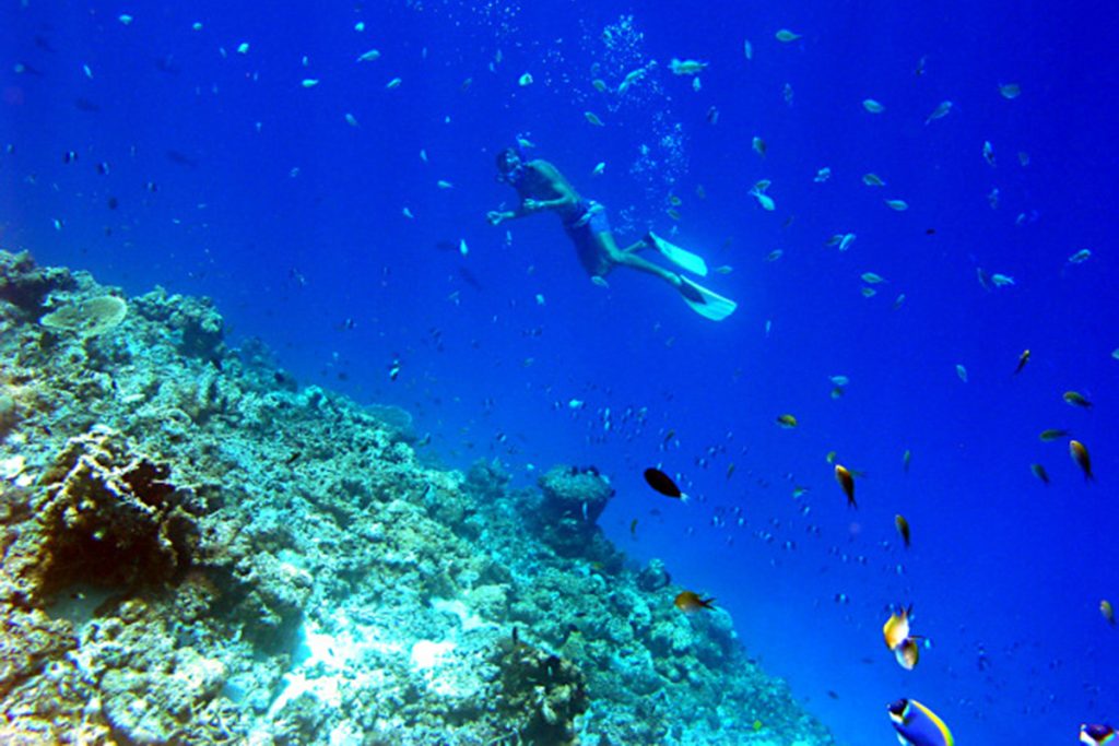 immersioni Oceano Indiano