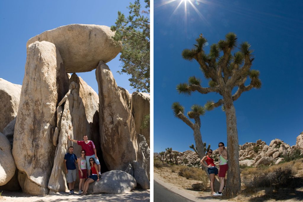 joshua tree national park travel blogger meraviglie del mondo