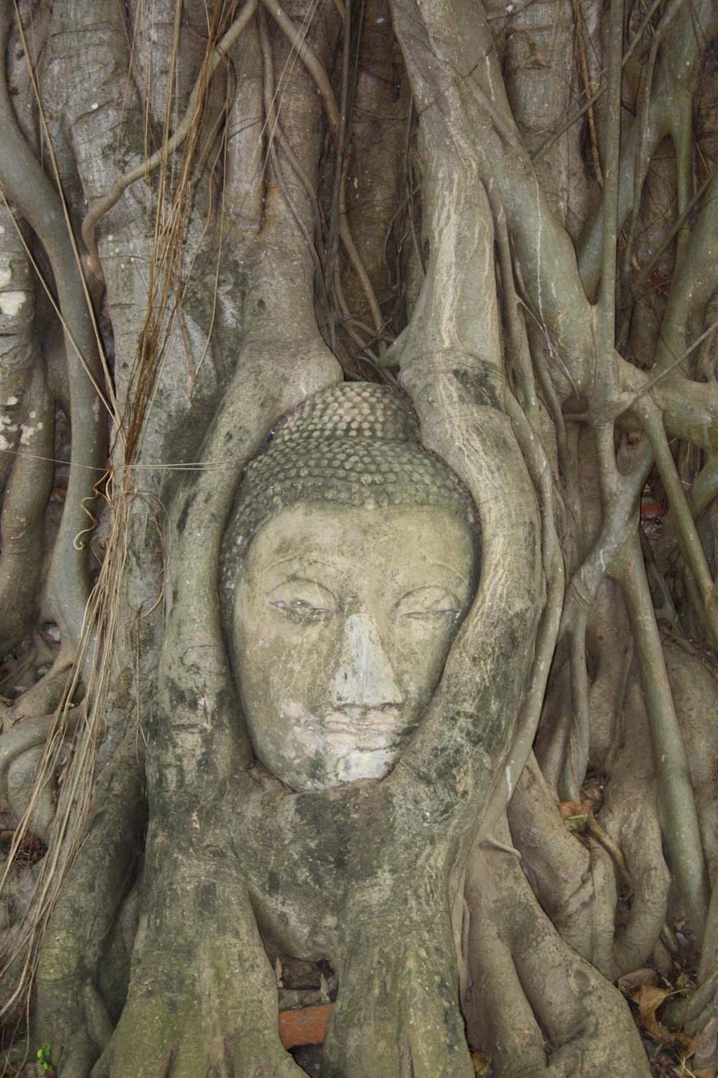 wat-mahathat-tempio-della-grande-reliquia-thailandia-del-nord-itinerario