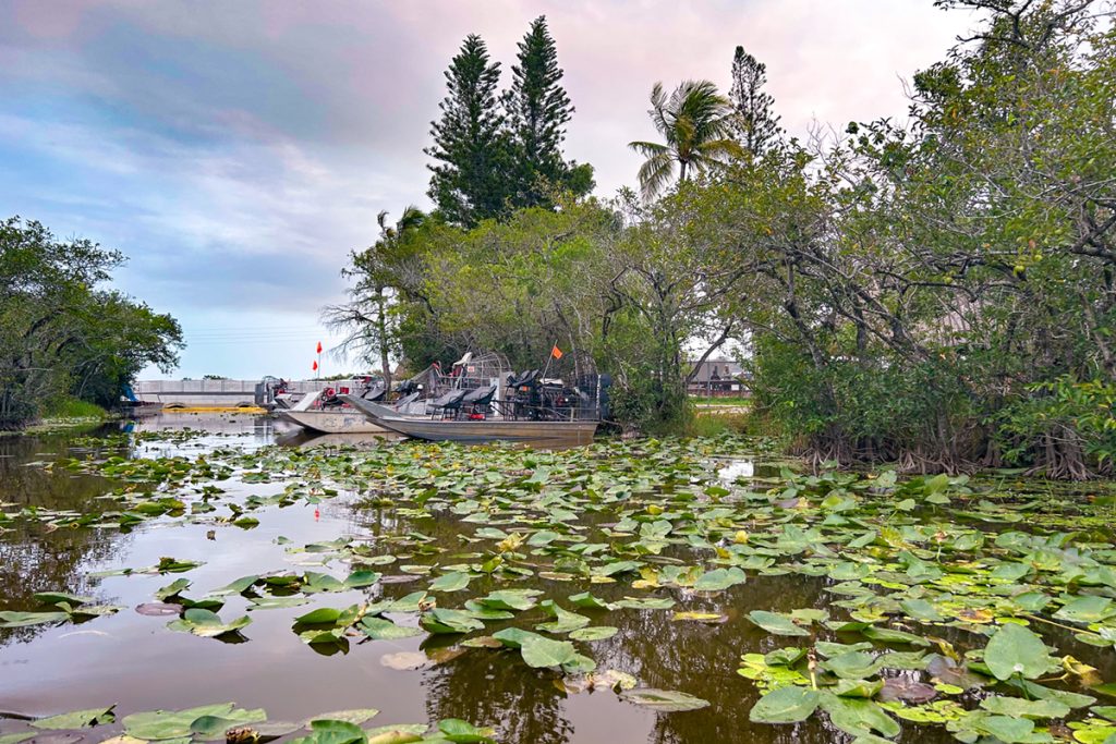 everglades-national-park-tour-airboat