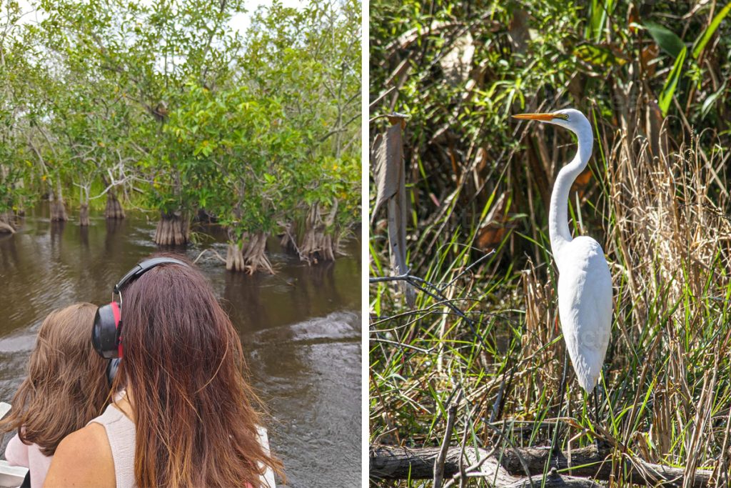everglades-national-park-tour-airboat-con-bambini