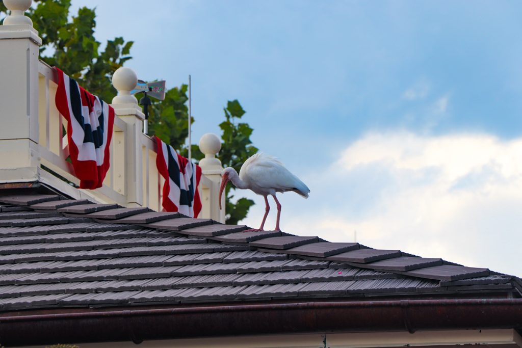 indipendence-day-decorazioni-key-west