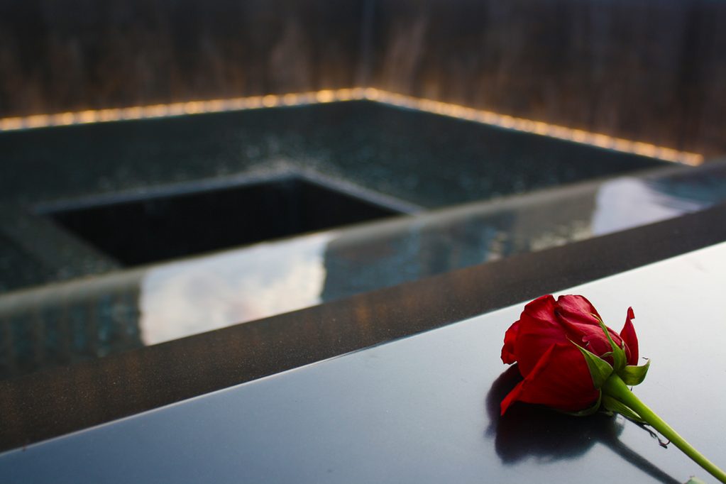 ew york il mio ricordo delle torri gemelle memorial rosa rossa